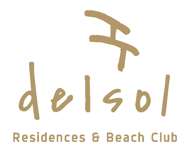 Delsol Logo